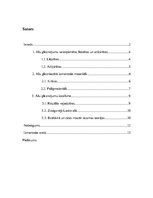 Referāts 'Alu gleznojumi akmens laikmetā', 1.