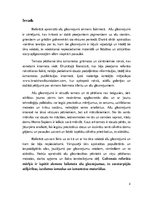 Referāts 'Alu gleznojumi akmens laikmetā', 2.