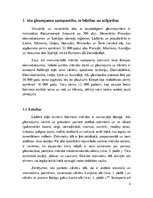 Referāts 'Alu gleznojumi akmens laikmetā', 4.