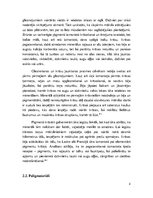 Referāts 'Alu gleznojumi akmens laikmetā', 7.