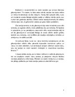 Referāts 'Alu gleznojumi akmens laikmetā', 11.