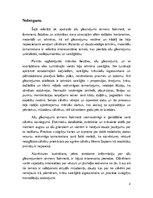 Referāts 'Alu gleznojumi akmens laikmetā', 12.