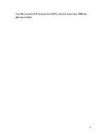 Referāts 'Alu gleznojumi akmens laikmetā', 15.