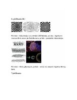 Referāts 'Alu gleznojumi akmens laikmetā', 18.