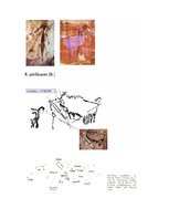 Referāts 'Alu gleznojumi akmens laikmetā', 19.