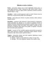 Referāts 'Leonardo da Vinči', 7.