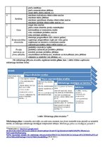 Konspekts 'Starptautiskā mārketinga pētījumi, analīze, informācijas sistēma', 4.