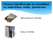 Prezentācija 'Datorvīrusi un pretvīrusu programma', 9.