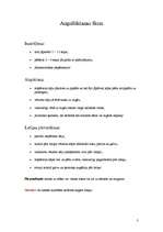 Referāts 'Augstlēkšana', 3.