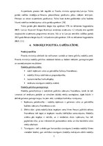 Konspekts 'Seminārs "Budžets, nodokļi un fiskālā politika"', 7.