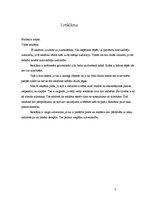 Referāts 'Izvēlēto reklāmu raksturojums', 4.