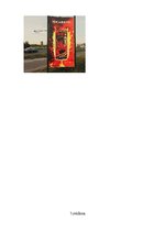 Referāts 'Izvēlēto reklāmu raksturojums', 25.