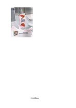 Referāts 'Izvēlēto reklāmu raksturojums', 28.