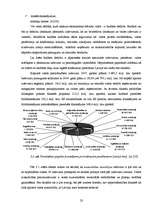 Referāts 'Valsts budžeta ienākumi un izdevumi, to struktūra un nozīme valsts ekonomiskajā ', 23.