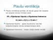 Prezentācija 'Plaušu ventilācija', 7.