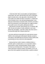 Referāts 'Albērs Kamī "Mēris"', 3.