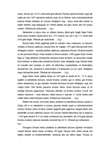 Referāts 'Rīgas Fondu biržas attīstība un integrācija starptautiskajos finanšu instrumentu', 18.