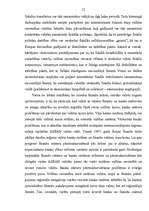 Referāts 'Dienvidaustrumāzijas reģionālās valūtas rašanās perspektīvas', 12.