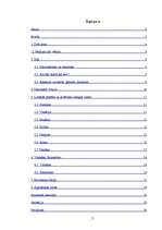 Referāts 'Tūrisma objekti Itālijā', 2.