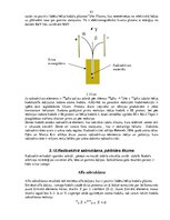 Konspekts 'Optika un kvantu mehānika', 91.