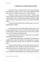 Referāts 'Līdzdalības nozīme tautas attīstībā', 7.