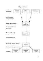 Referāts 'Aitu vilnas pārstrāde', 6.