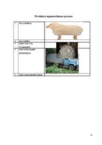 Referāts 'Aitu vilnas pārstrāde', 10.