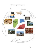 Referāts 'Aitu vilnas pārstrāde', 17.