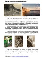 Prezentācija 'Ainavu raksturojums pēc fotoattēla', 6.