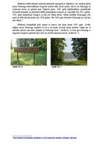 Prezentācija 'Ainavu raksturojums pēc fotoattēla', 7.