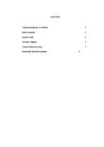 Referāts 'Opera', 1.