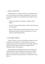 Referāts 'ExxonMobil Chemical', 3.