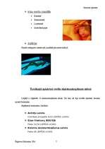 Konspekts 'Nozares apraksts (skaistumkopšana)', 7.