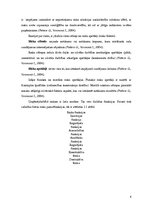 Referāts 'Riska analīze uzņēmumā SIA "Getliņi EKO"', 4.