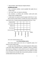 Referāts 'Riska analīze uzņēmumā SIA "Getliņi EKO"', 8.
