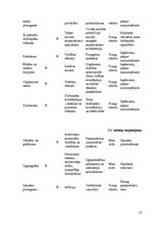 Referāts 'Riska analīze uzņēmumā SIA "Getliņi EKO"', 27.