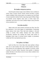 Referāts 'Latīņu valoda', 3.