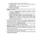 Konspekts 'Tiesu prakse par tiesībām uz kriminālprocesa pabeigšanu saprātīgā termiņā un sod', 4.