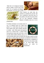 Prezentācija 'Malta. Izplānots ceļojums uz Maltu', 8.