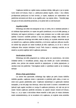 Konspekts 'Uzņēmumu stratēģiskā vadīšana', 6.