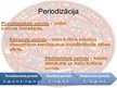 Prezentācija 'Maiju kultūra', 4.
