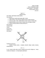 Paraugs 'Oberbeka svārsts', 1.