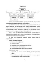 Referāts 'Enerģija', 4.