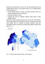 Referāts 'Saules un vēja enerģija', 17.