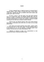 Referāts 'Jaunie cilvēki Džeroma Deivida Selindžera prozā', 3.