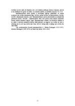 Referāts 'Jaunie cilvēki Džeroma Deivida Selindžera prozā', 11.