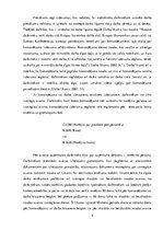 Diplomdarbs 'Komаndējumi un dаrbа izbrаucieni, to uzskаite SIА "X"', 9.