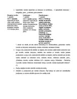 Referāts 'Latviešu valoda un kultūra - kopsavilkums', 6.