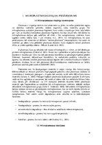 Referāts 'Mikroplastmasas piesārņojums Rīgas līča ūdens virsējā slānī', 6.