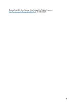 Referāts 'Mikroplastmasas piesārņojums Rīgas līča ūdens virsējā slānī', 20.